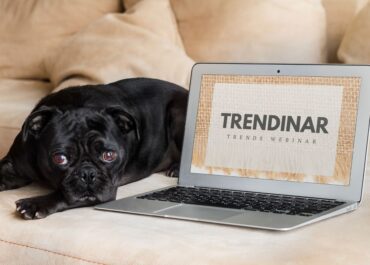 Black dog beside laptop showing webinar.